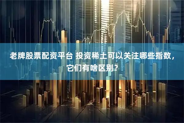 老牌股票配资平台 投资稀土可以关注哪些指数，它们有啥区别？